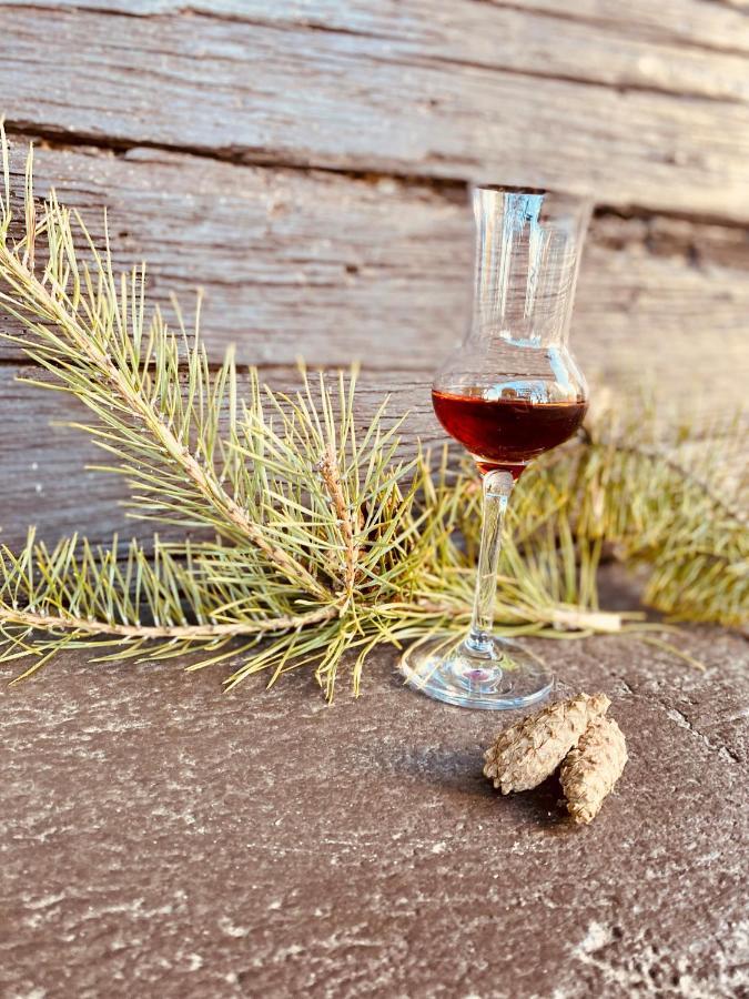 Gasthof Grossschedl Zum Kramerwirt Lassnitzhoehe Eksteriør bilde